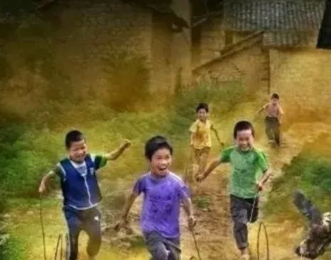 遭遇葫芦包蜂（小小说）