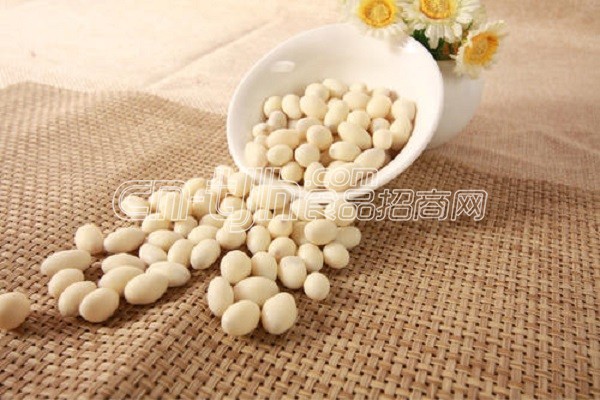 食品招商网做代理是怎么样的,在食品招商网代理批发靠谱吗