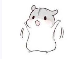 学长学姐给中考生的经验,加拿大留学新手必备