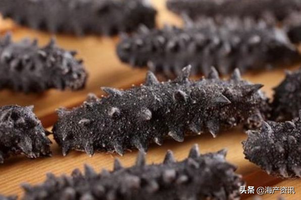 加拿大进口即食海参,加拿大即食海参500g6只左右