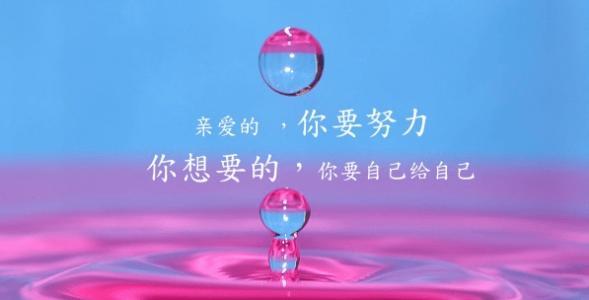 京东门店线上入驻申请,2021京东店铺入驻条件及费用