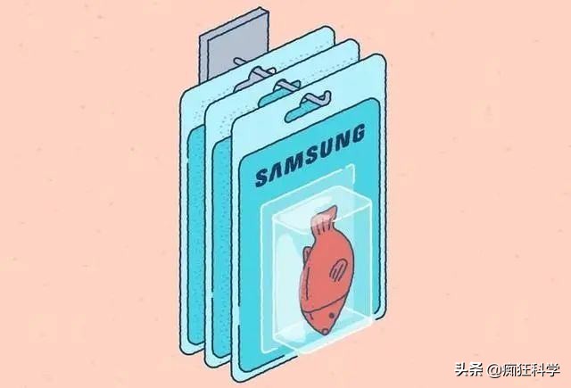 15条有趣的历史冷知识,科普电动牙刷冷知识