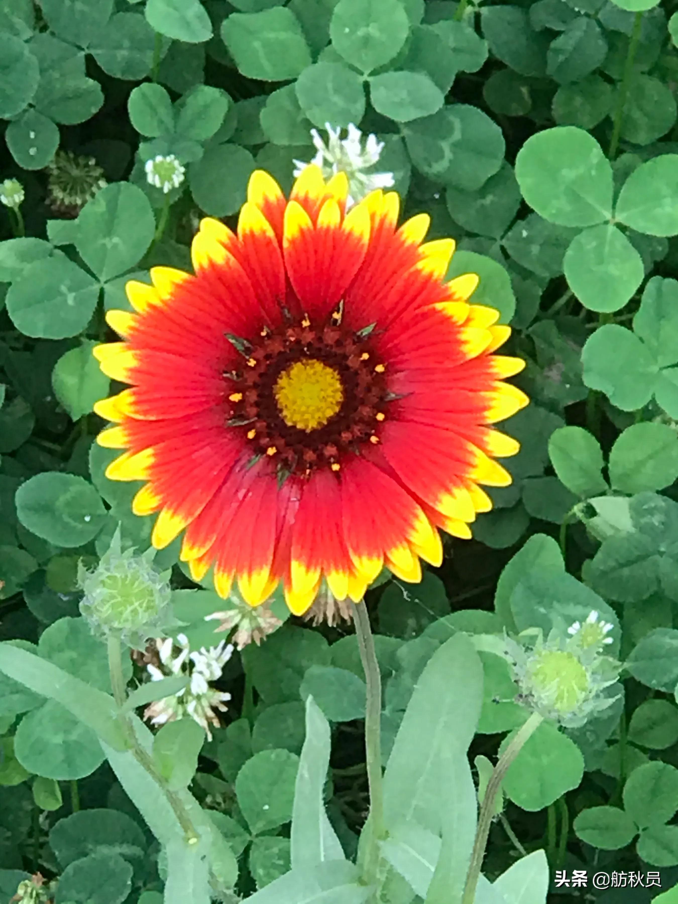 2024高考语文文言文重点字词,2021高考文言文必背高频词汇