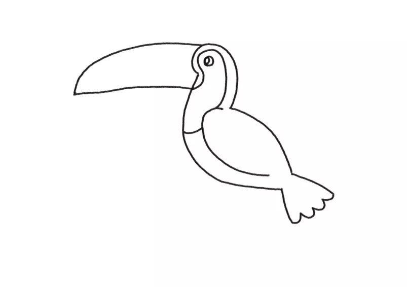 画鸟儿简笔画,简笔画鸟教程幼儿园