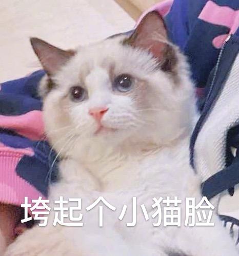 拍一拍怎么撤回时间过了,第一次拍一拍撤回有提醒吗