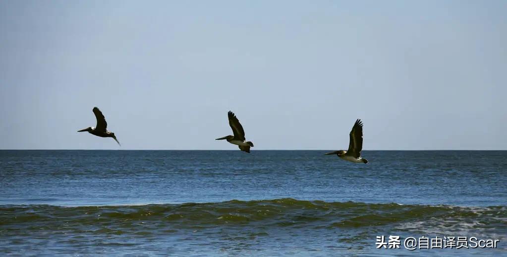 笔译兼职月入过万,做笔译怎么赚钱的