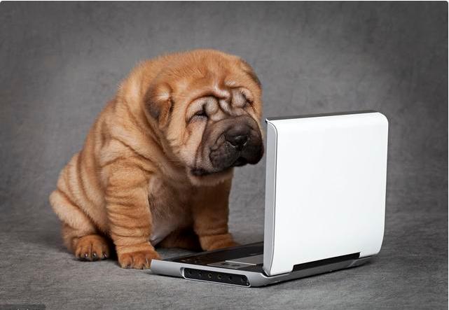 美工做了一年能达到什么水平,零基础学ps美工多久可以学会