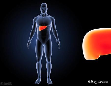 脂肪肝导致脾功能亢进,轻度脂肪肝会引起阳痿早泄吗