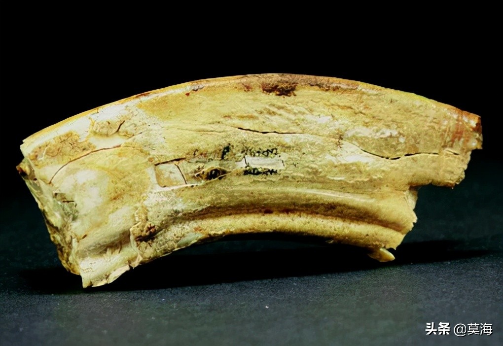 中国唯一的佛顶骨舍利,中国唯一一个佛