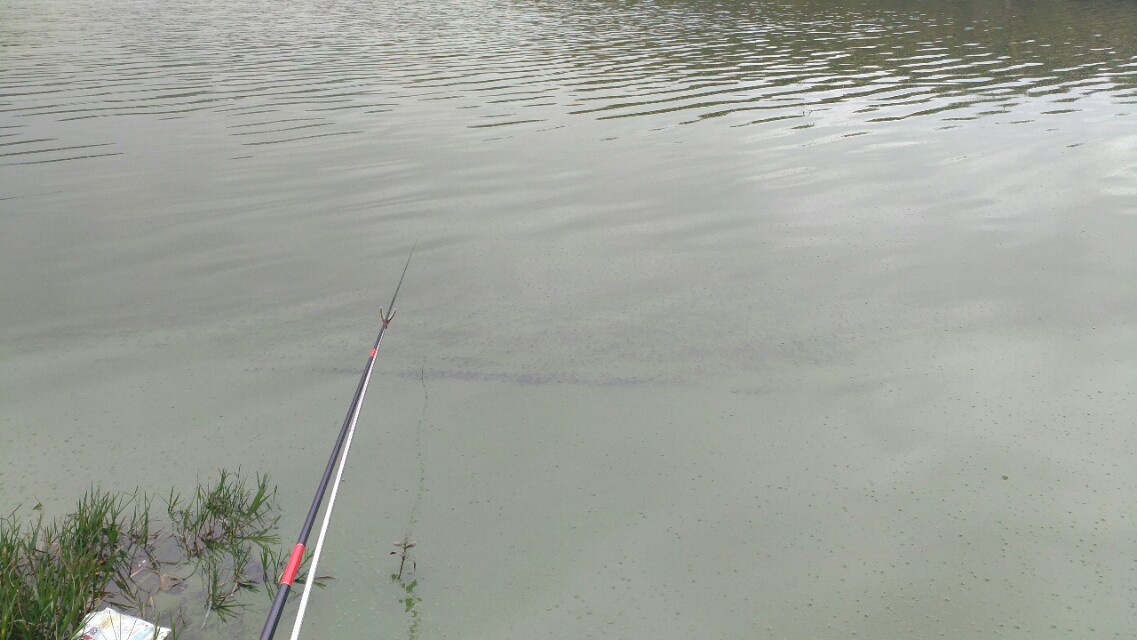 收费100一天的水库,离昆明市区最近的收费钓鱼水库