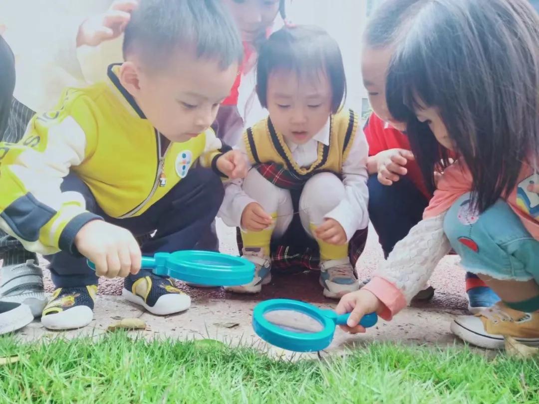 幼儿园公众号，想说爱你不容易