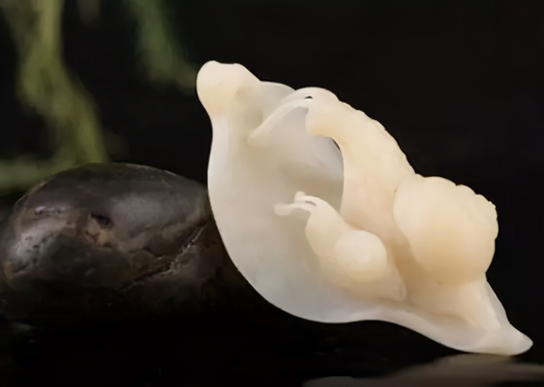 起步价5位数，究竟是什么样的石头，让那么多人冒死去捡