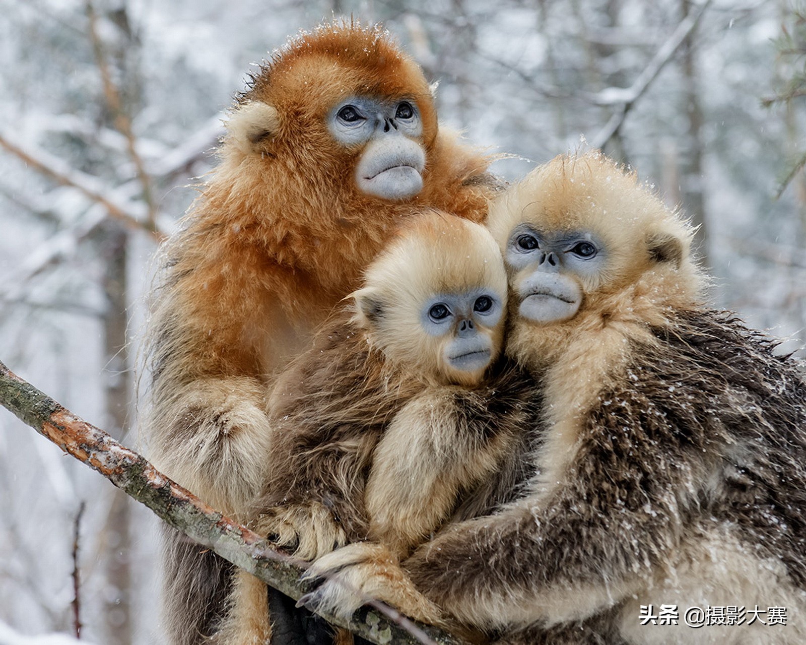 有你吗原版视频,尼康摄影大赛精选