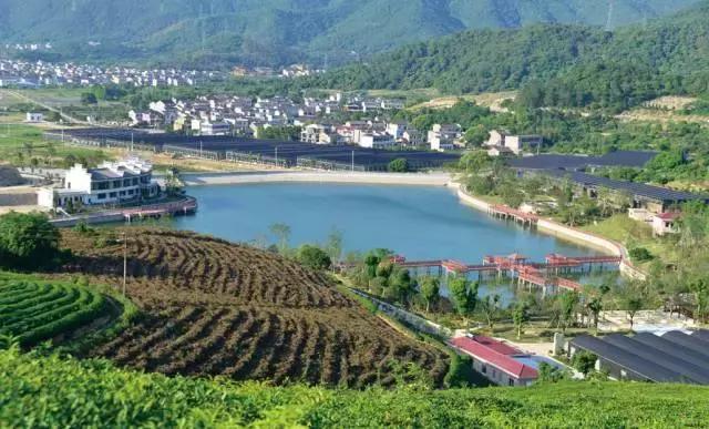 宁波周末带娃玩的好去处,宁波旅游度假山庄