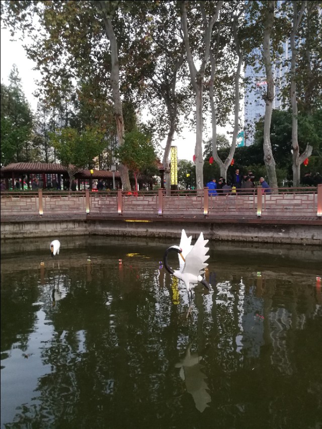 合肥青青猎人,合肥青青猎头靠谱吗