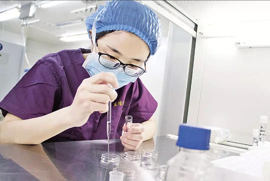 当卵子和精子相遇多少天受孕,试管精子和卵子相遇