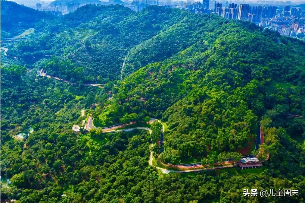 淘金山绿道晚上图片,淘金山绿道深圳罗湖网红