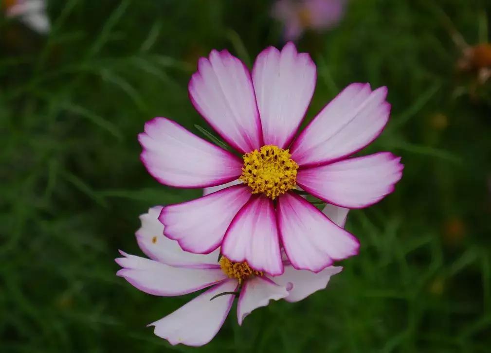 陕西宝鸡作家,宝鸡作家原创