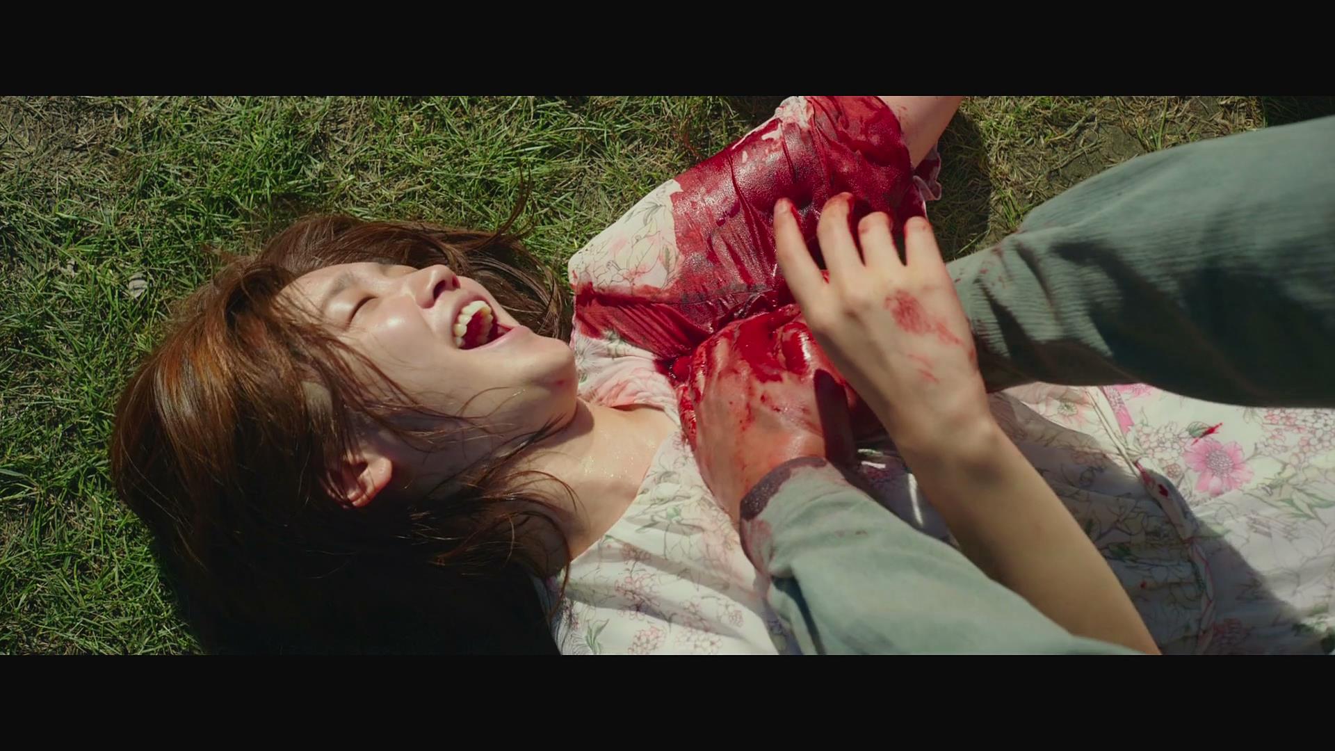 电影《寄生虫》深度解析,寄生虫电影中的空间设计