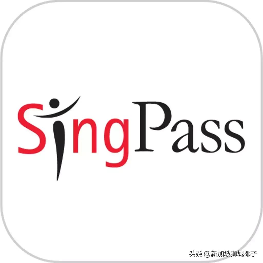 新加坡用什么软件买东西,新加坡便宜实惠的购物平台有哪些