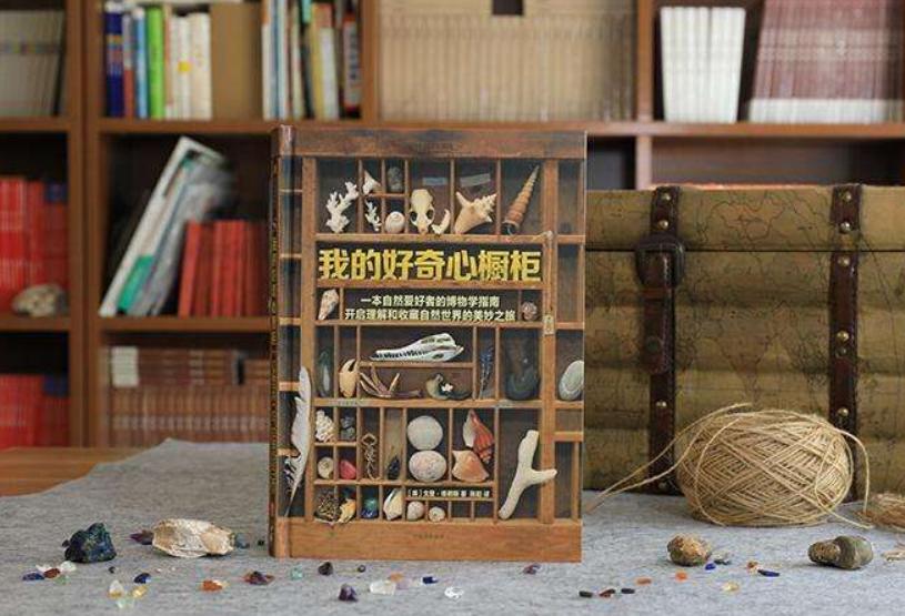 孩子收藏癖,孩子总收藏一些没用的东西怎么办