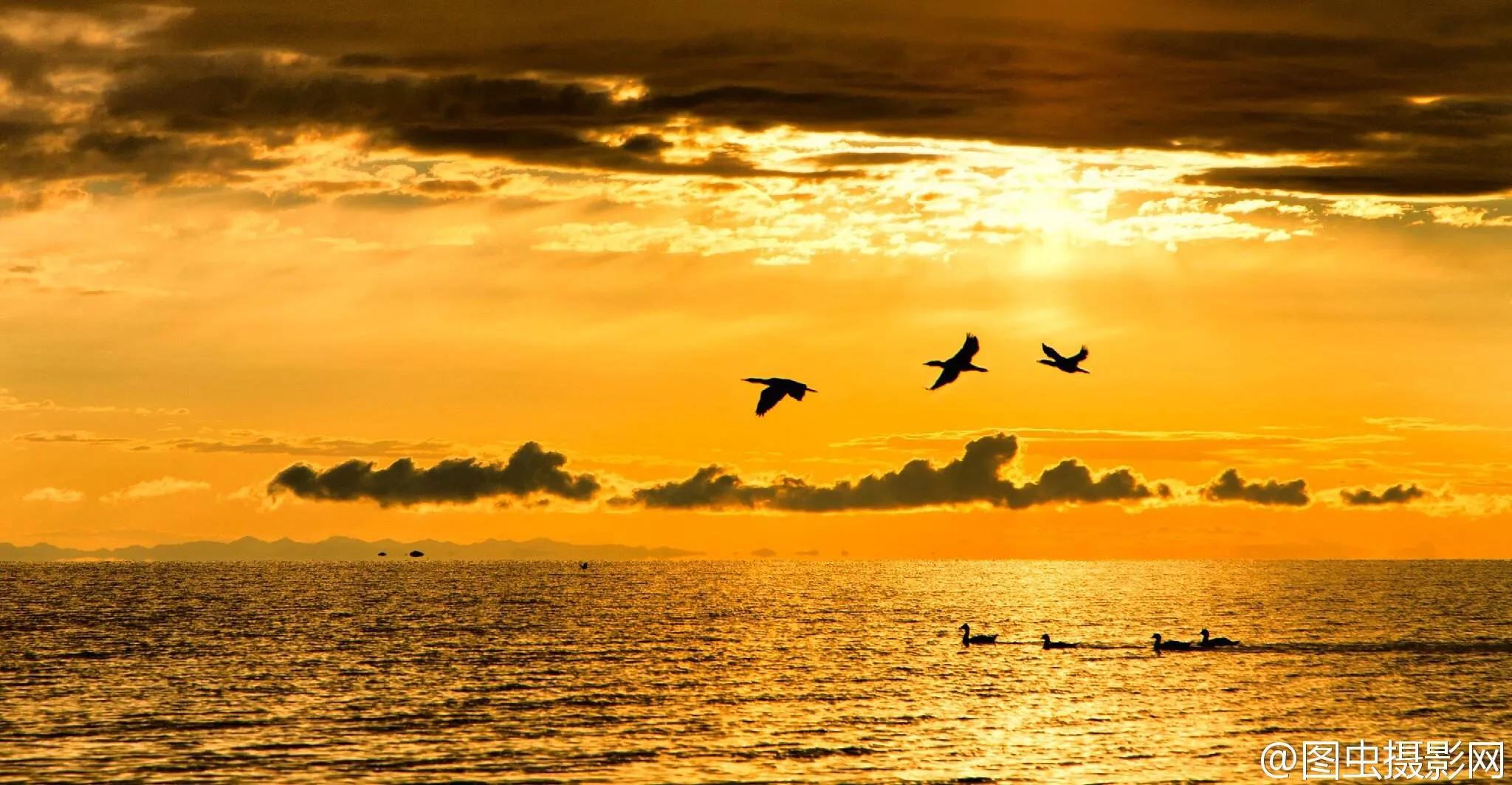 诗经中绝美的古诗词,50首顶级绝美古诗词诗经