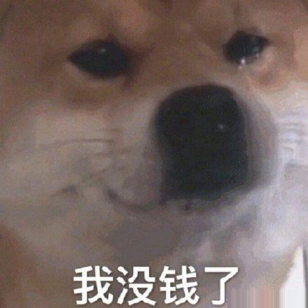 工资表情包动态图片,老板该发工资表情包