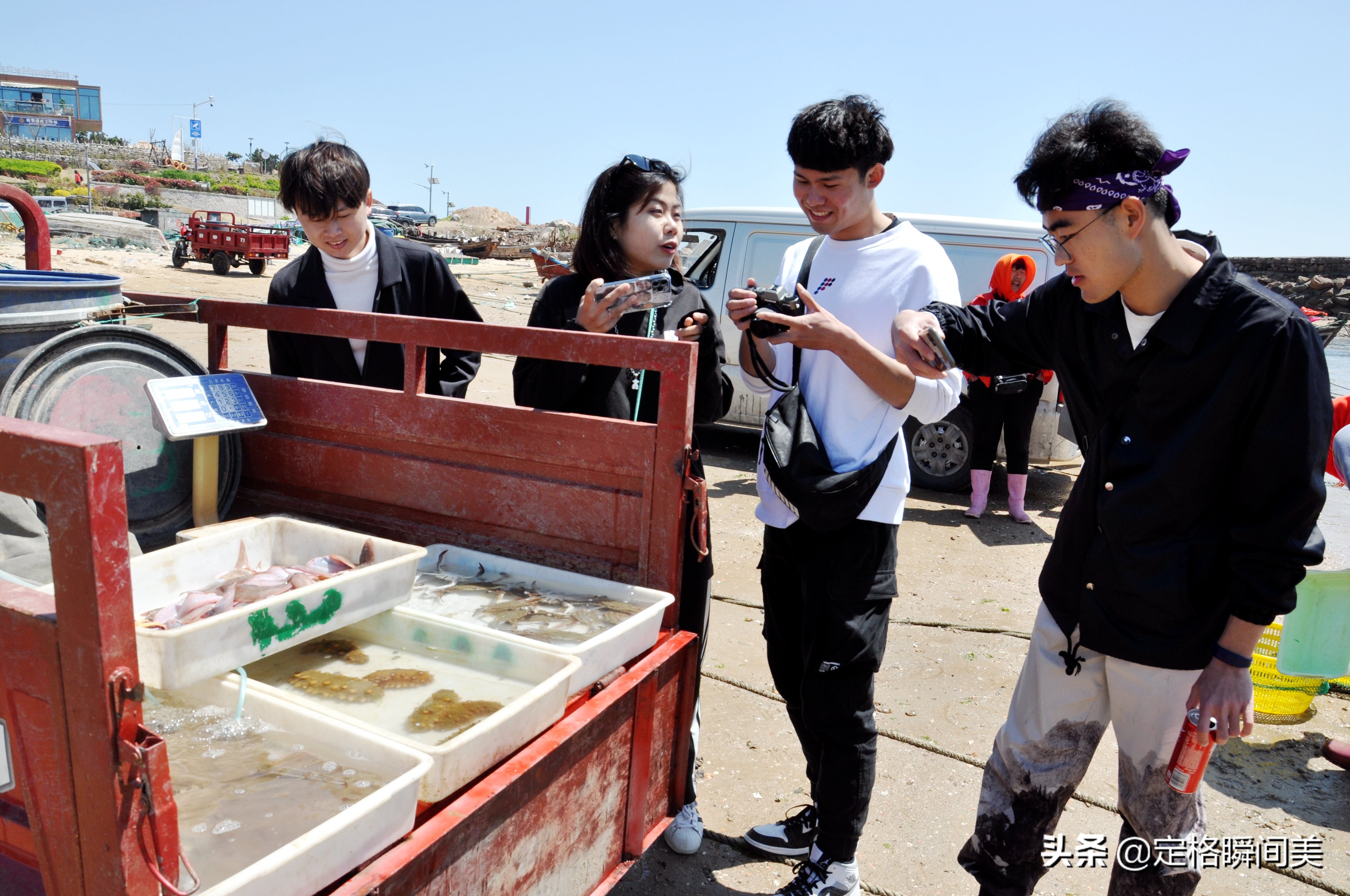 青岛纯野生海参深海海参冷冻即食,青岛纯野生海参