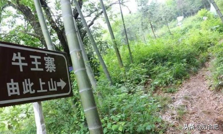 合肥有哪些山风景区图片,合肥有一处小众景点是一座山