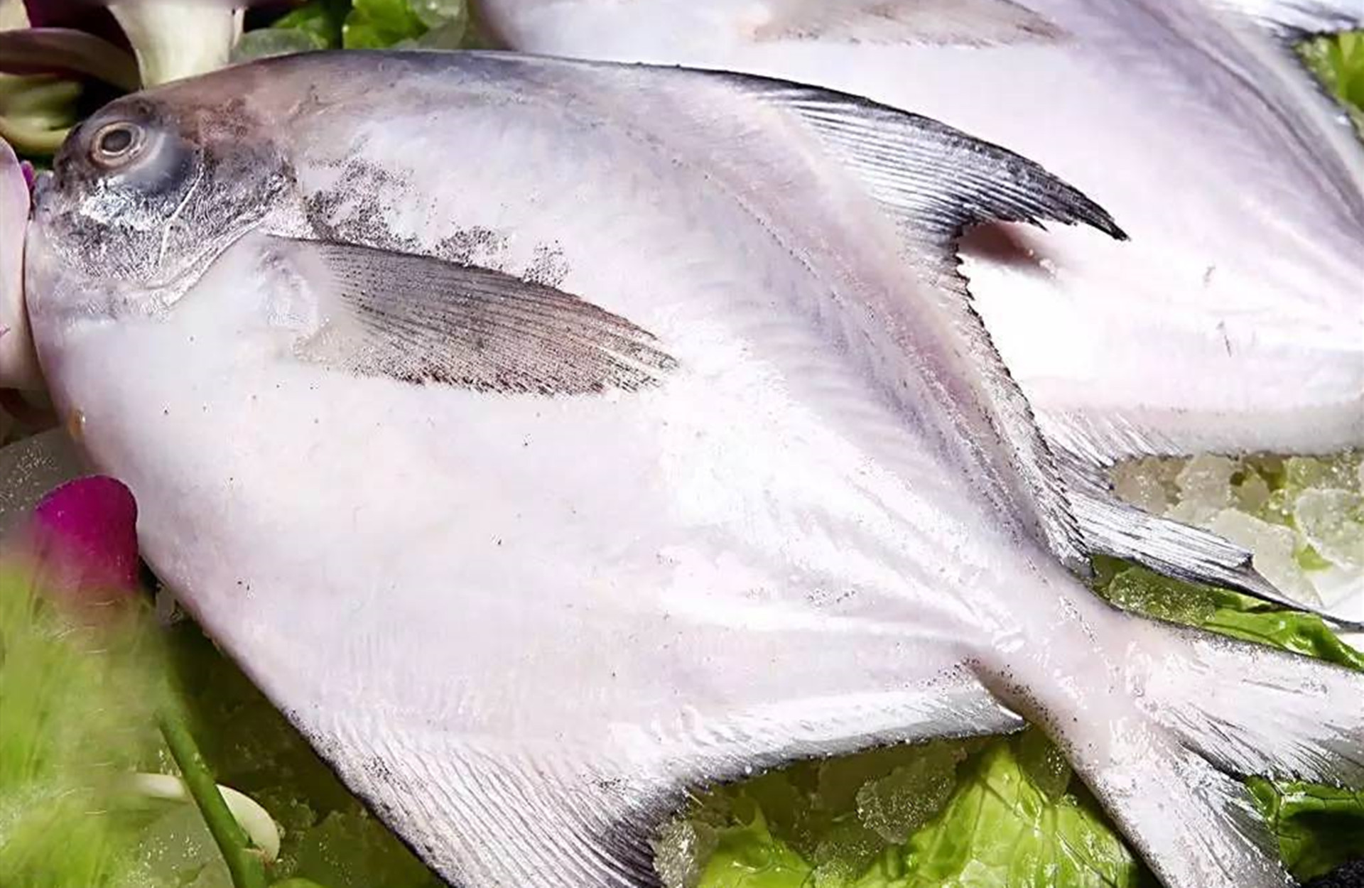 红烧鲳鱼最正宗的做法,红烧鲳鱼美味可口做法简单易学