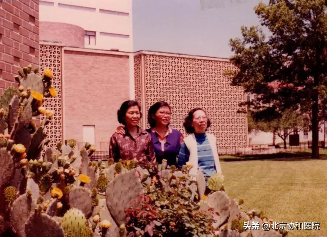 口述历史|连利娟：仁心仁术是她从医六十载不变的初心