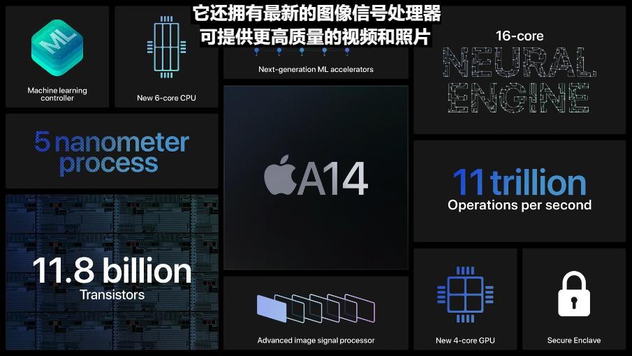 苹果a14有什么机型,苹果a14有哪些机型