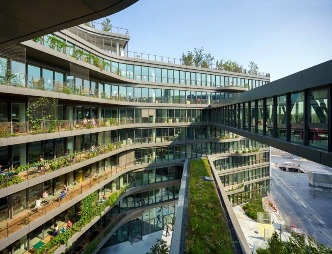 被绿植包围的大楼,被绿植围绕的空间