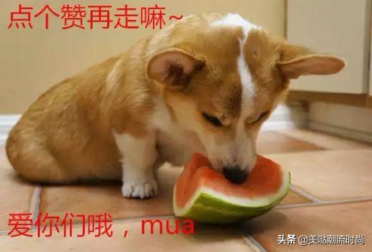 这条街最靓的仔舞蹈完整视频,我就是这条街最靓的仔儿童版