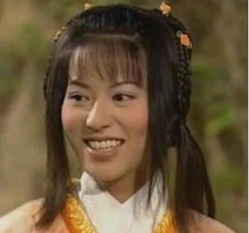 杨不悔扮演过什么角色,杨不悔年龄多大