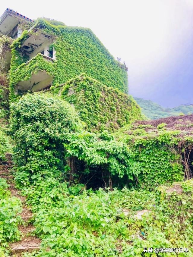 误入绿野仙踪秘境,探索舟山无人村