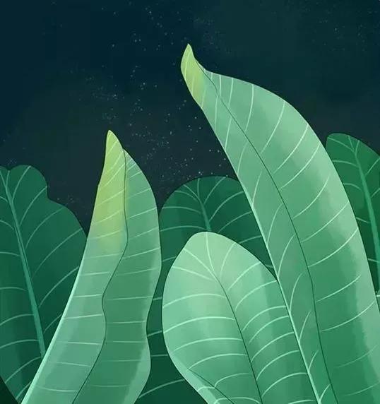 和异性聊天的男人都觉得如沐春风,和喜欢的人聊天如沐春风