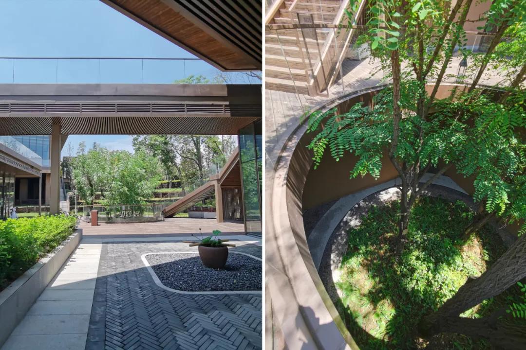 易兰规划|四川成都淮州·云顶牧场