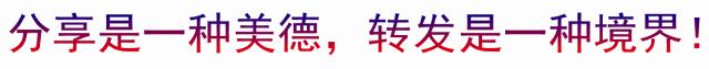 美到窒息的经典心情语录,唯美走心的情感句子句句深刻入心