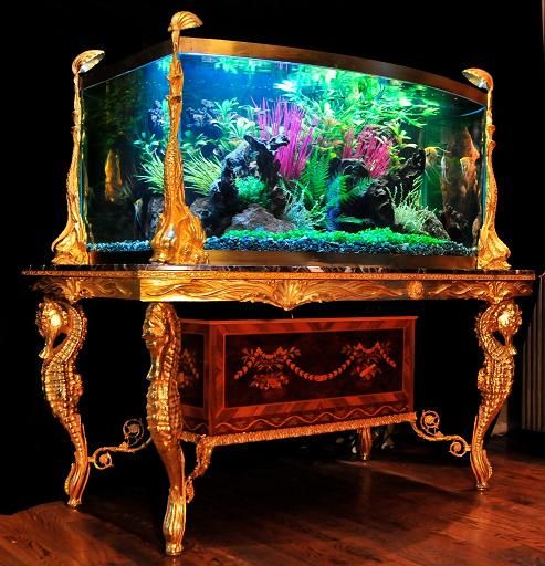 养鱼为什么要放盐,养鱼为什么又要杀菌又要培菌