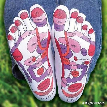 50种袜子,各类型的袜子区别图解大全