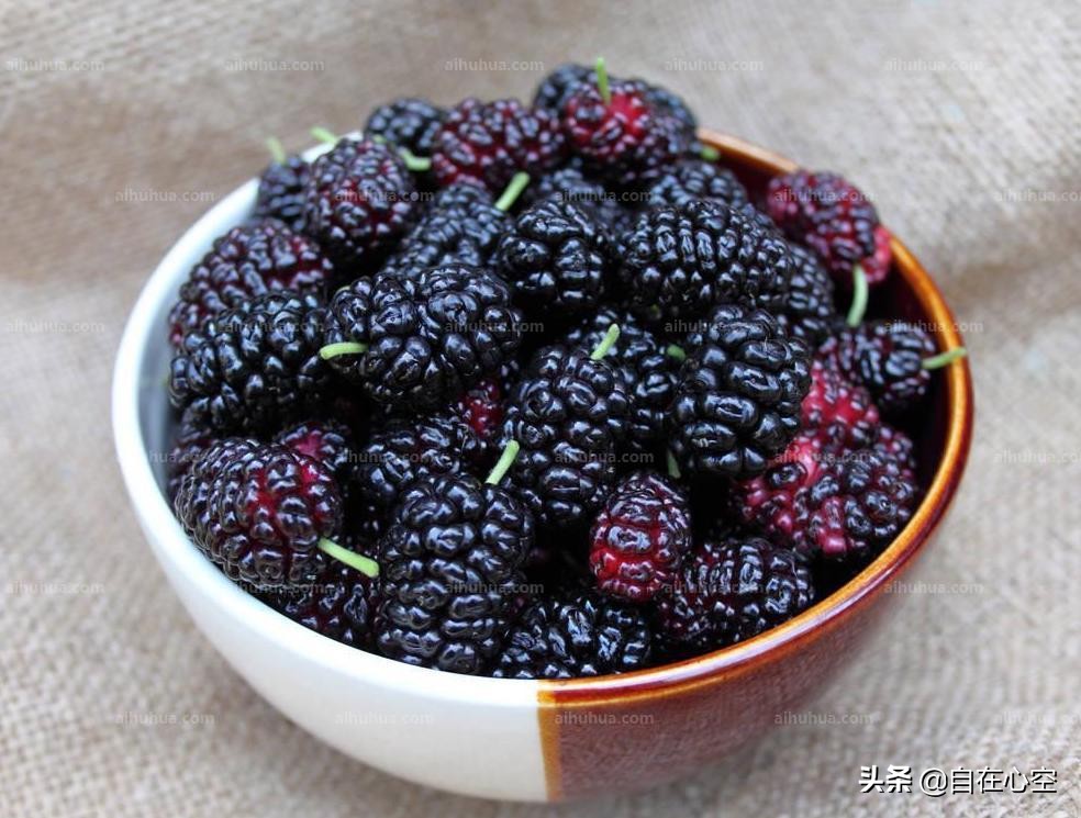 桑葚吃多了会发生什么,吃了一大堆桑葚后会怎么样