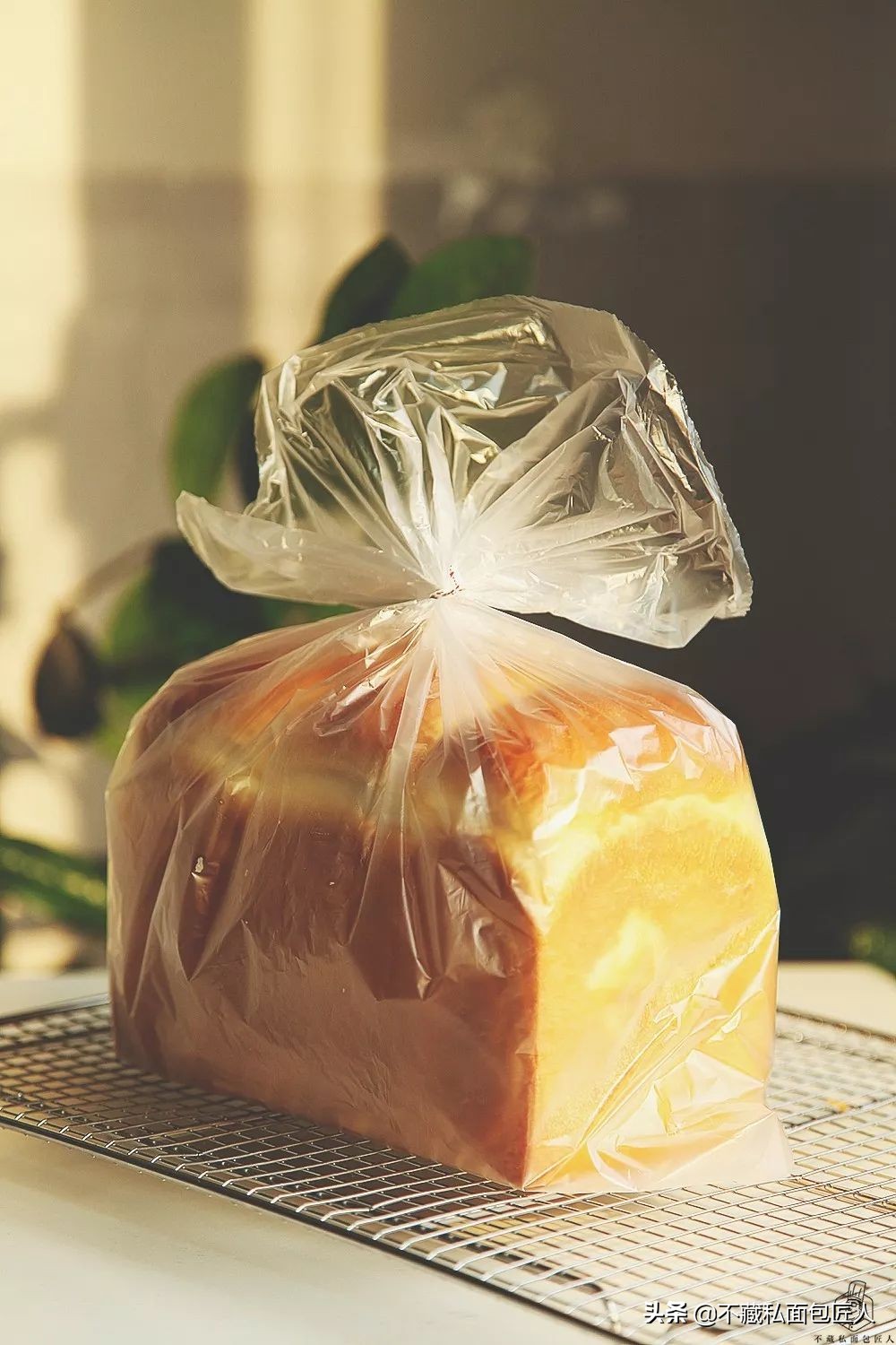 为什么烤出来的面包表皮会皱,面包表皮皱