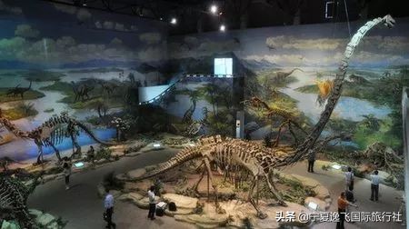 国内最适合带孩子去的十大游乐园,全国适合孩子游玩的游乐园排名