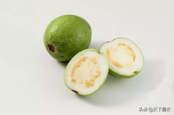 菠萝凤梨樱桃车厘子图,成都车厘子和樱桃的区别