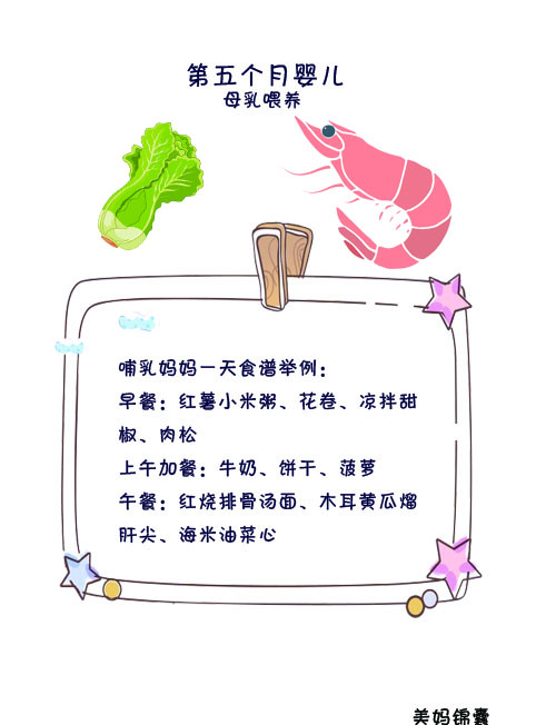 哺乳期妈妈一日食谱推荐,哺乳期妈妈一日食谱推荐第三个月
