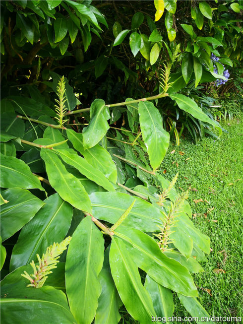 在新西兰你活得多自在,新西兰成功治好了我的焦虑