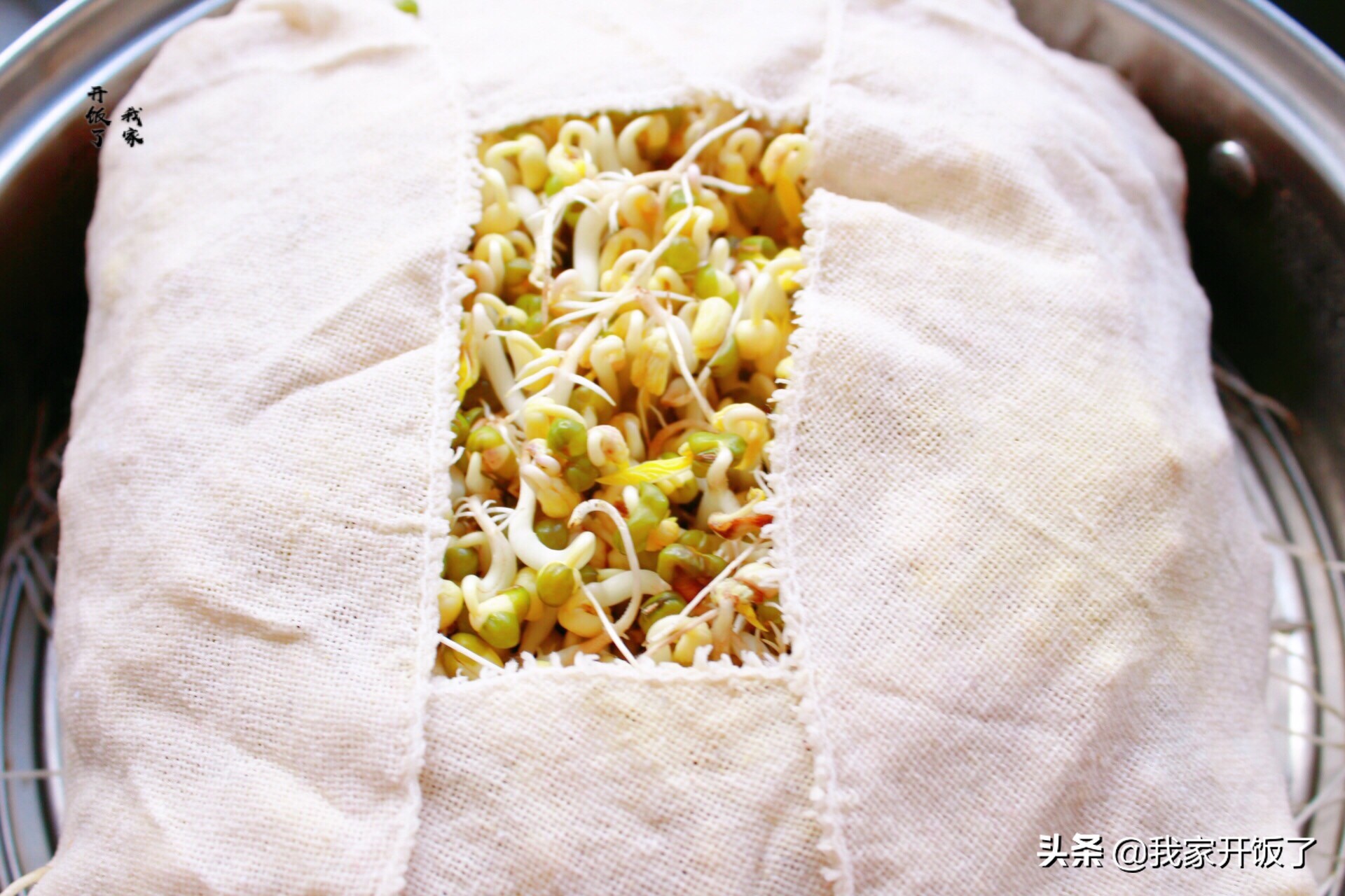 宅在家里学技能，教你发豆芽，掌握3个要点，零失败，随吃随种