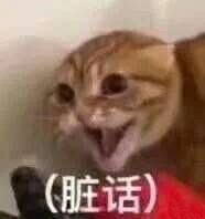 年纪轻轻脑子不好使表情包,年纪轻轻看什么湖人表情包