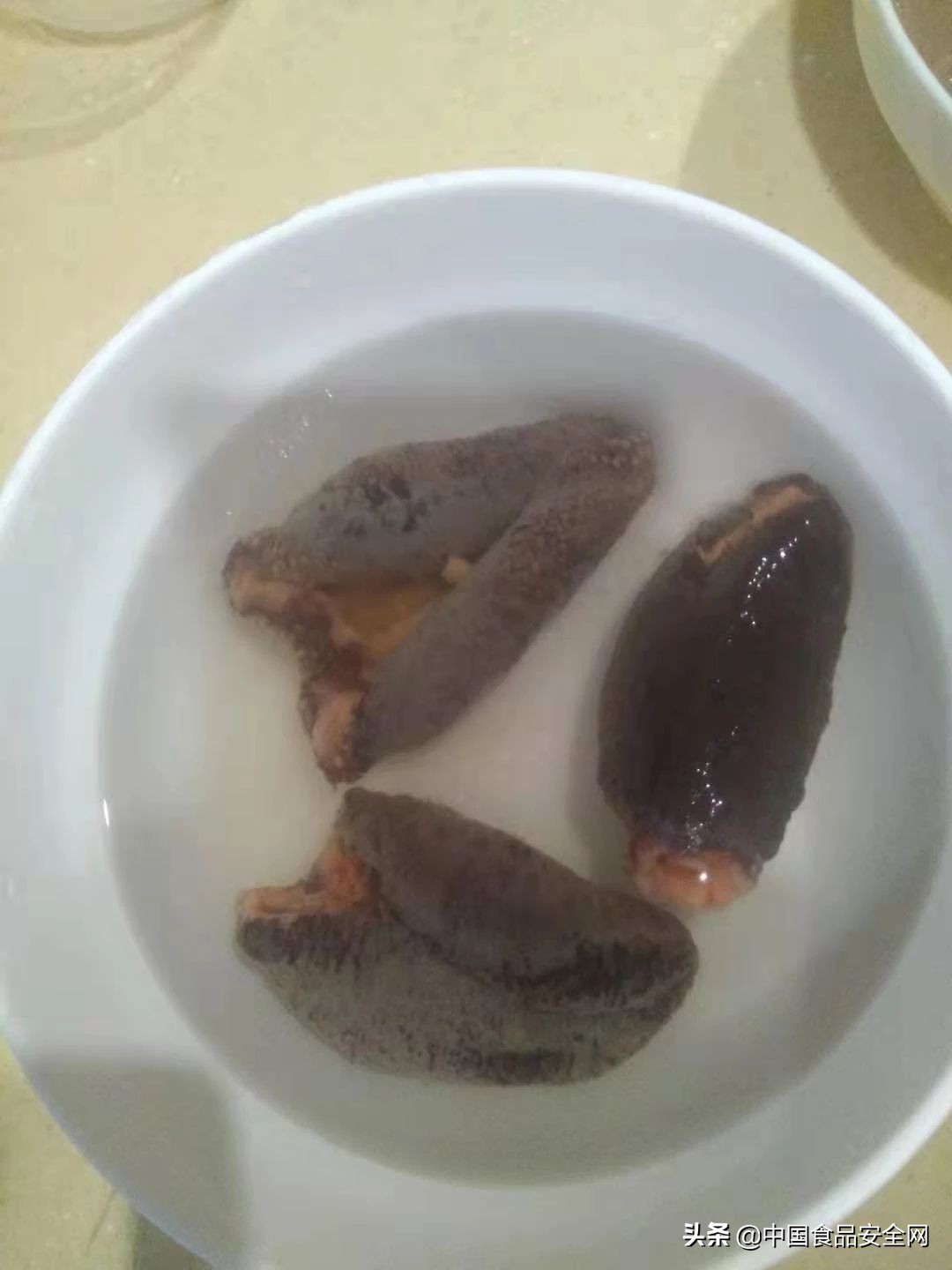 吃海参中毒现象,食用海参中毒什么反应